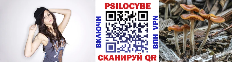 наркота  Белая Калитва  Псилоцибиновые грибы Cubensis 
